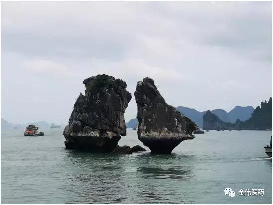 “感恩有你，一路同行”瀘州金偉2019快樂之旅